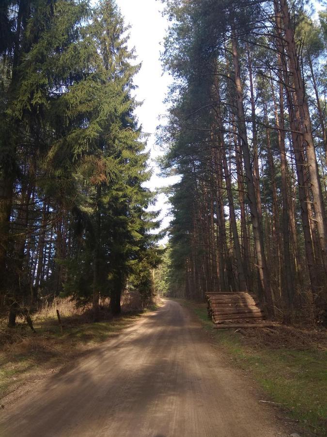 W Starej Szkole - Agroturystyka Pieczarki Bagian luar foto