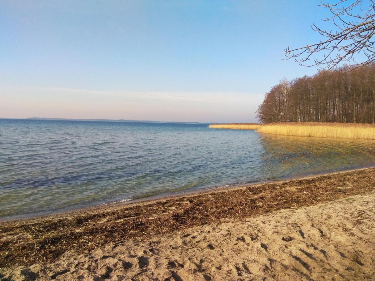 W Starej Szkole - Agroturystyka Pieczarki Bagian luar foto