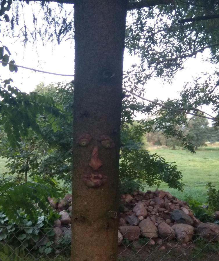 W Starej Szkole - Agroturystyka Pieczarki Bagian luar foto