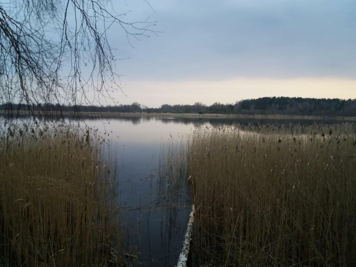 W Starej Szkole - Agroturystyka Pieczarki Bagian luar foto