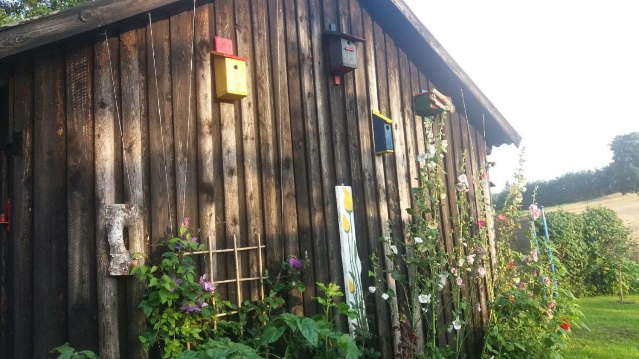 W Starej Szkole - Agroturystyka Pieczarki Bagian luar foto