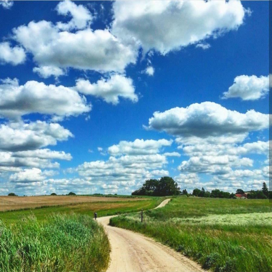 W Starej Szkole - Agroturystyka Pieczarki Bagian luar foto