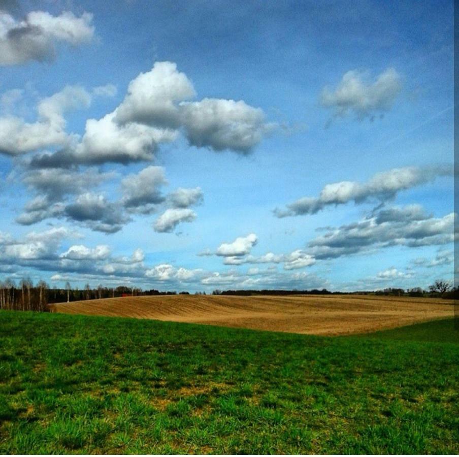 W Starej Szkole - Agroturystyka Pieczarki Bagian luar foto