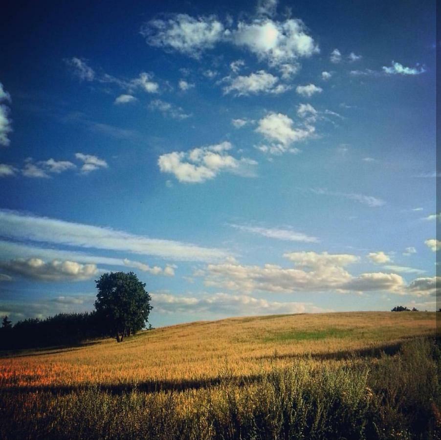 W Starej Szkole - Agroturystyka Pieczarki Bagian luar foto