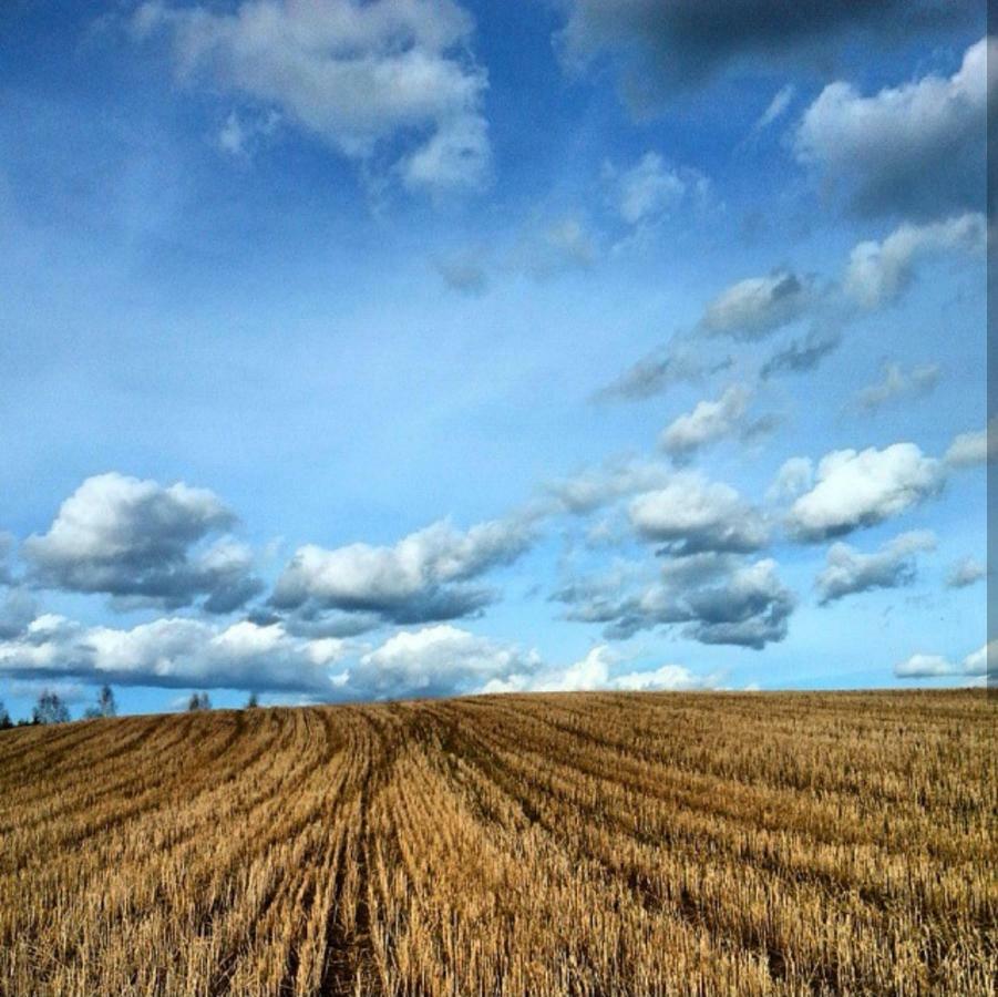 W Starej Szkole - Agroturystyka Pieczarki Bagian luar foto